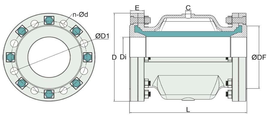 CSF-sh.jpg